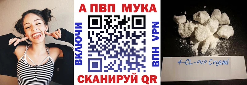 A PVP СК  Светогорск 