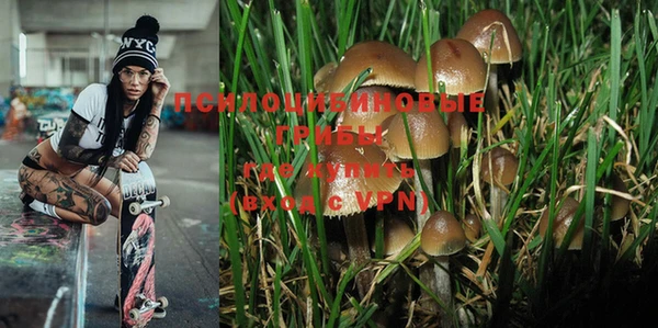 мдма Белокуриха
