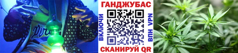Конопля планчик  Светогорск 